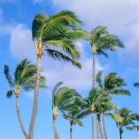 WhatsApp Image 2025-07-16 at 12.36.27_6b7929c7